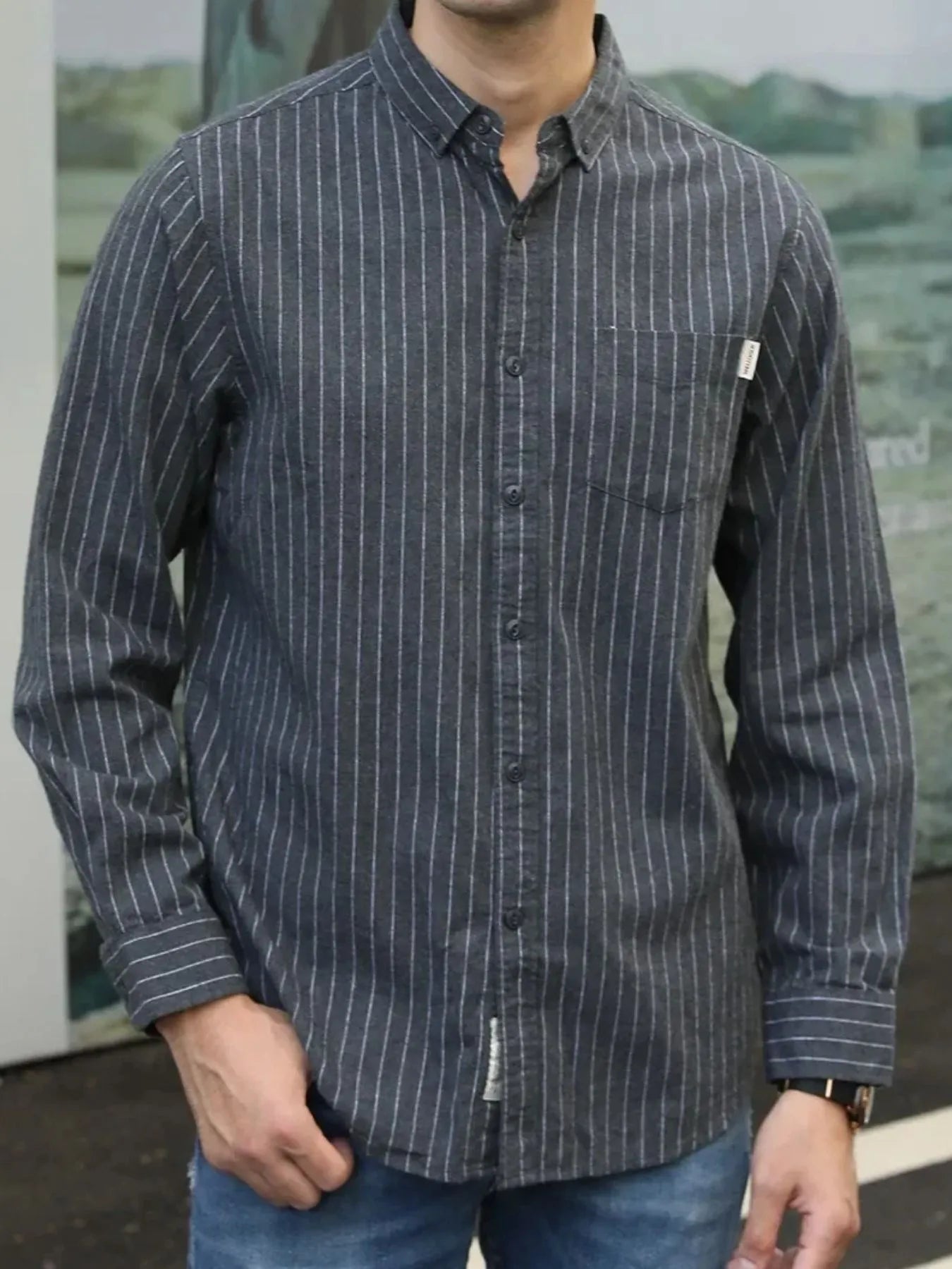 Men's Plus Size Pinstripe Button-Down Shirt