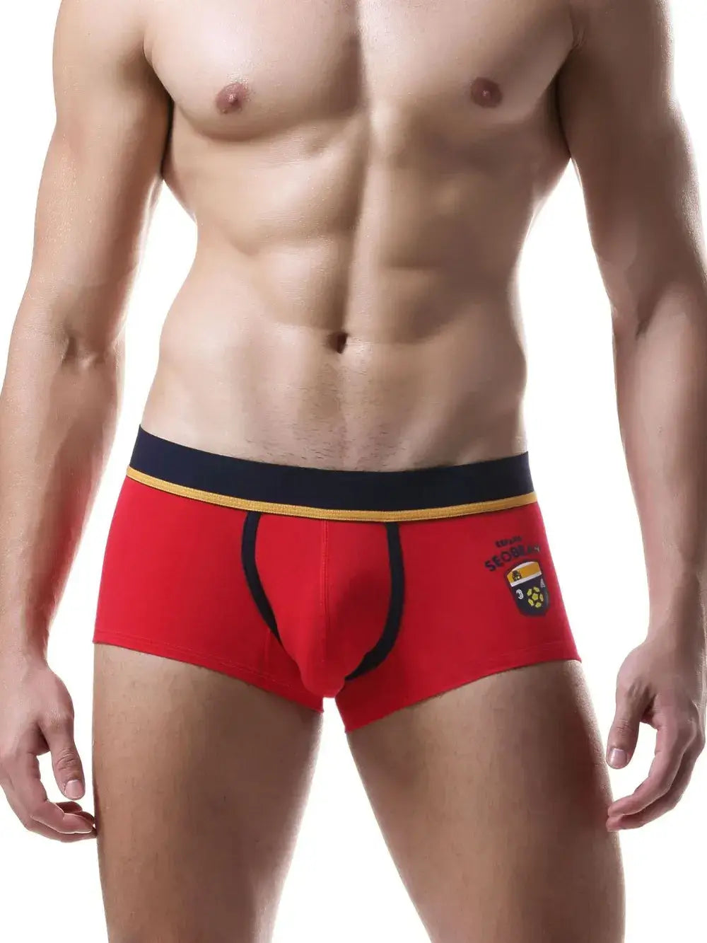 Men's Contrast Panty