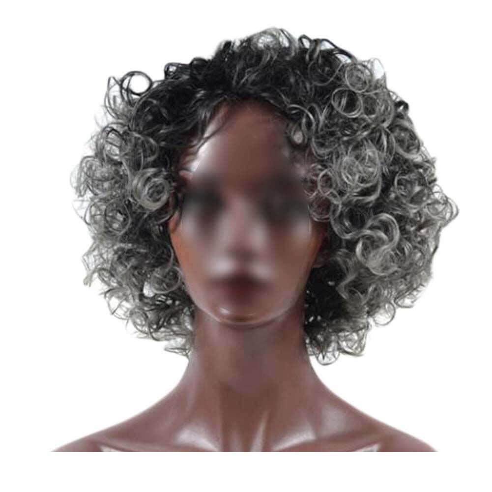 Black Grey Afro Short Curly Wigs Fluffy Wavy Synthetic Hair Wig 2Tone Natural Looking Full Wigs,12 inch - Clothes For Her Online Store