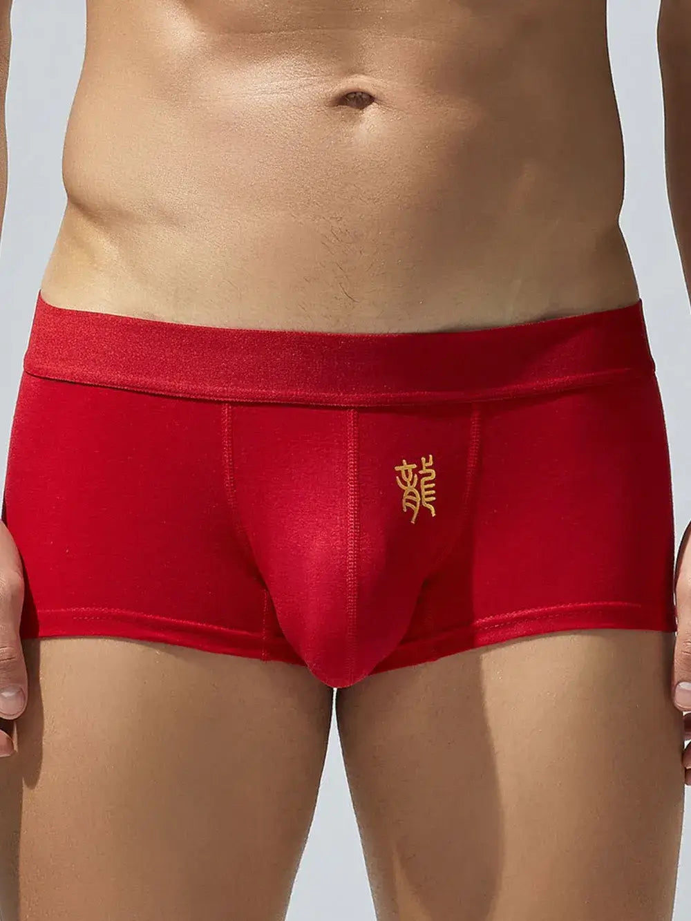 Men's Elastic Panty