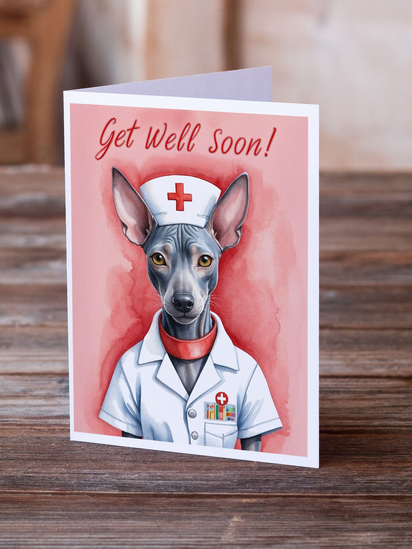 Mexican Hairless Dog Get Well Soon Greeting Cards Pack of 8 Blank Cards with Envelopes Whimsical A7 Size 5x7 Blank Note Cards