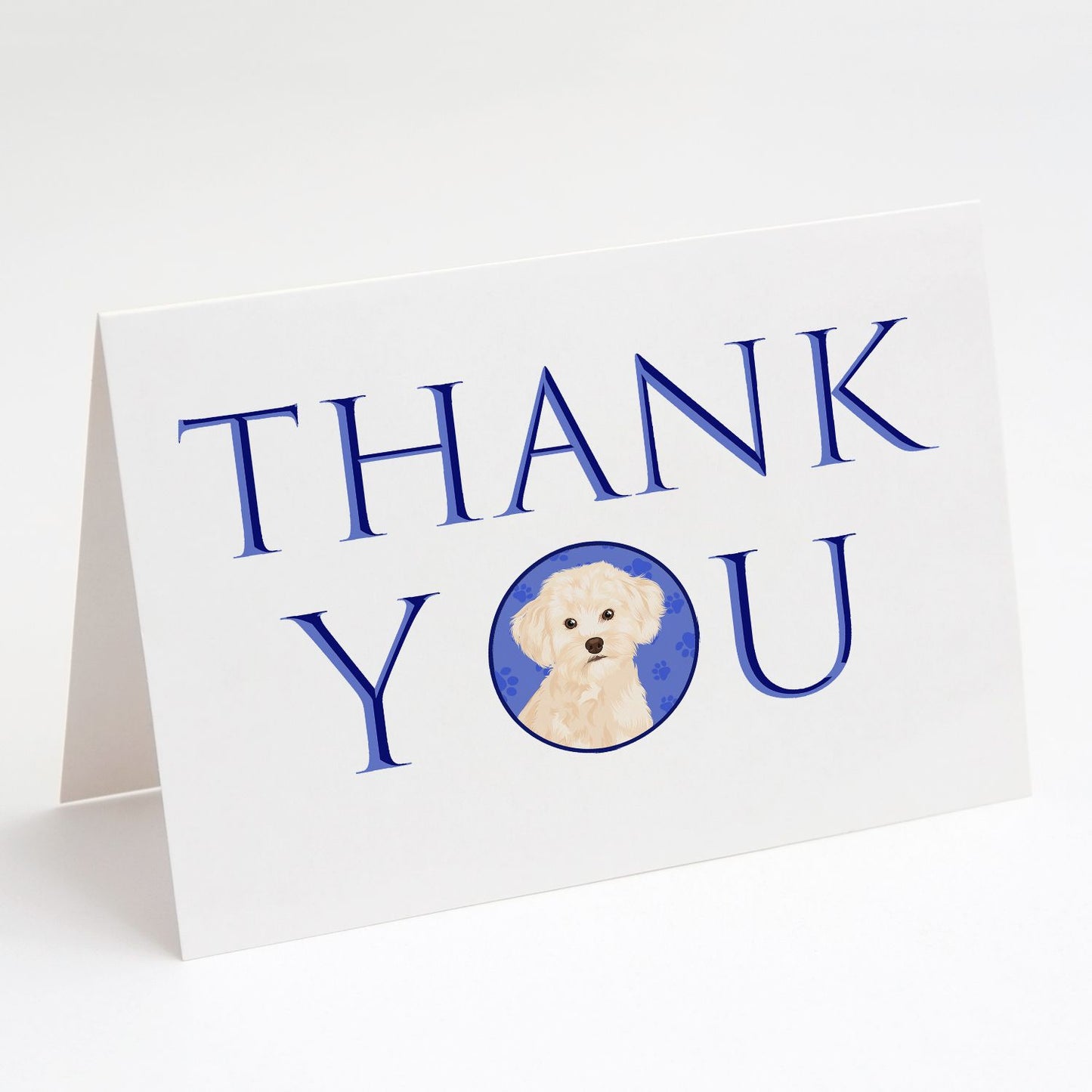 Poodle Toy Cream Thank You Greeting Cards Pack of 8 Blank Cards with Envelopes Whimsical A7 Size 5x7 Blank Note Cards