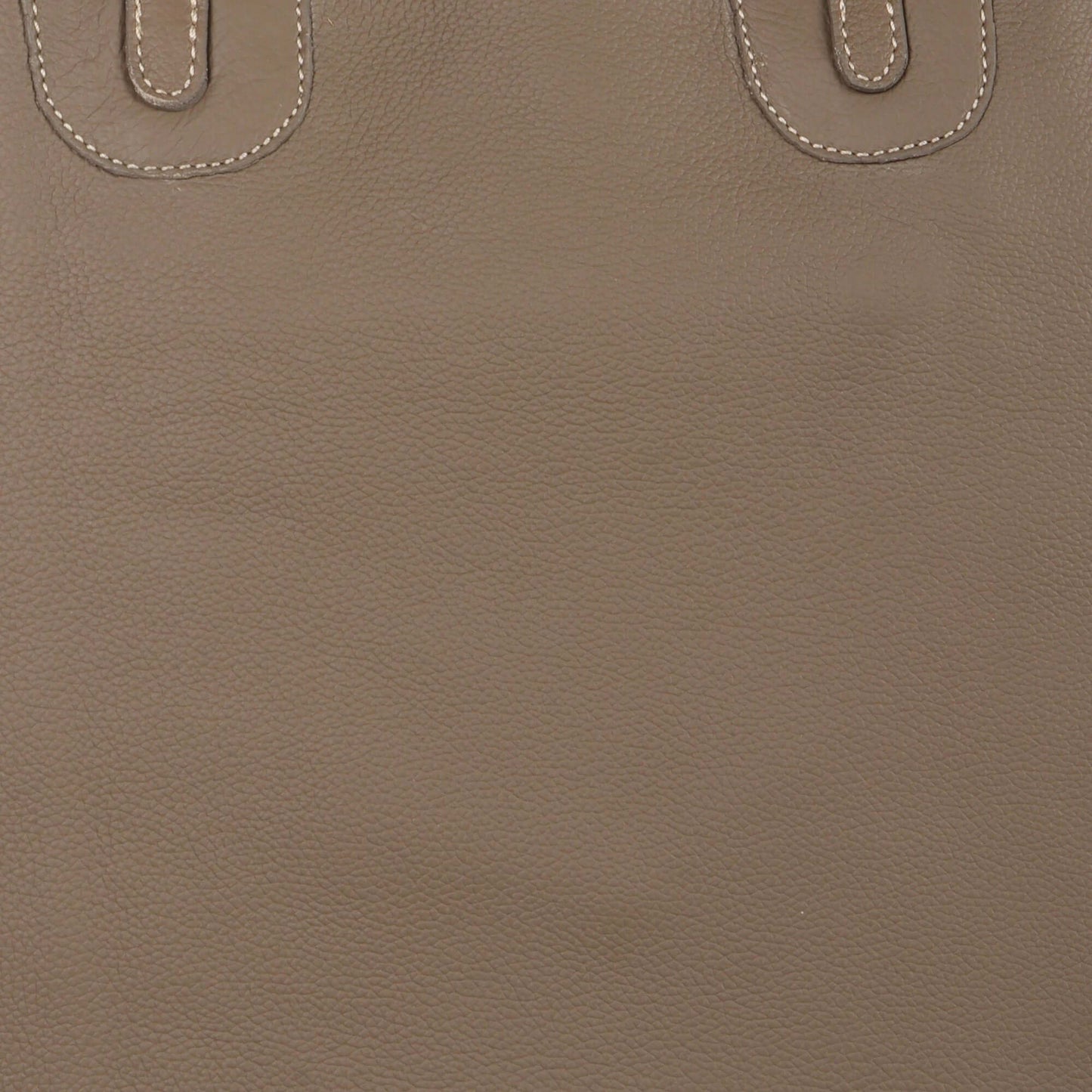 Eve Sustainable Leather Tote Bag