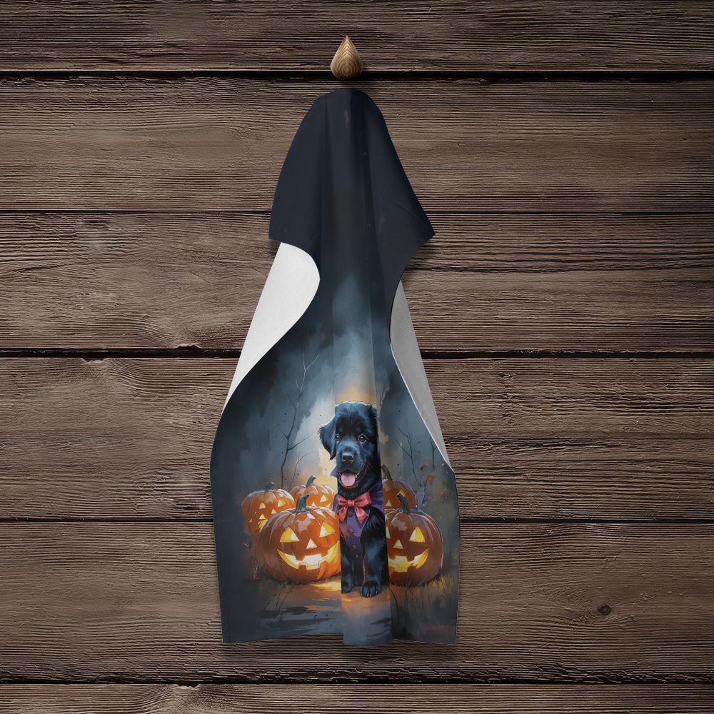 Black Newfoundland Puppy Halloween Kitchen Towel Dish Cloths Guest Hand Towel Decorative Bathroom Towel for Face,Tea, Dishcloth, Kitchen and Bath