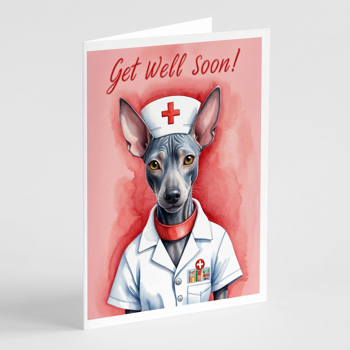 Mexican Hairless Dog Get Well Soon Greeting Cards Pack of 8 Blank Cards with Envelopes Whimsical A7 Size 5x7 Blank Note Cards