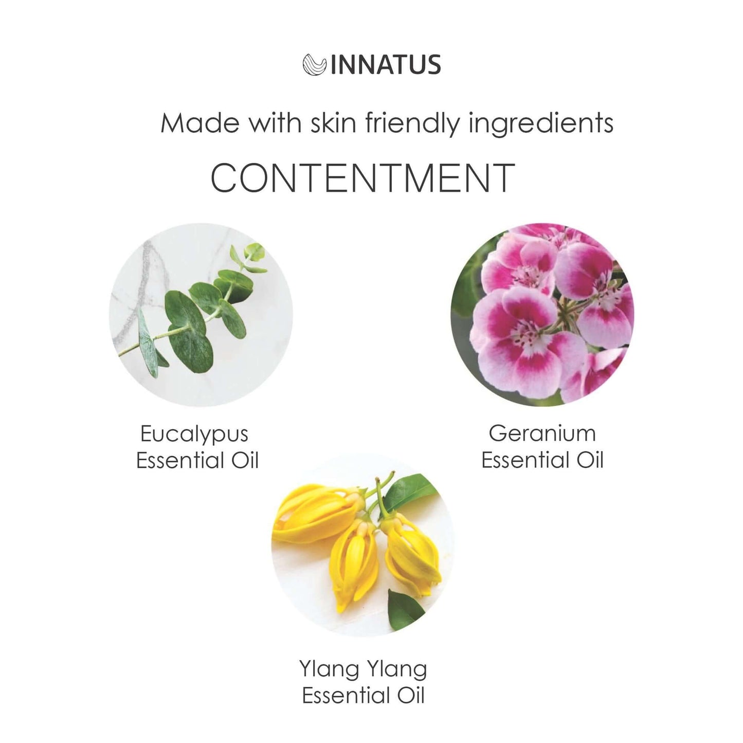 Contentment Shower Spray with Eucalyptus & Geranium – 4oz Aromatherapy Shower Steamer Mist for Relaxation & Stress Relief – Infused with Peppermint & Ylang Ylang Oils – Made in the USA "