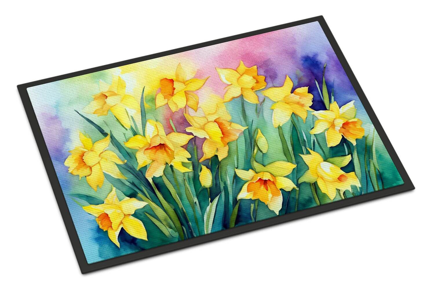 Watercolor Doormats