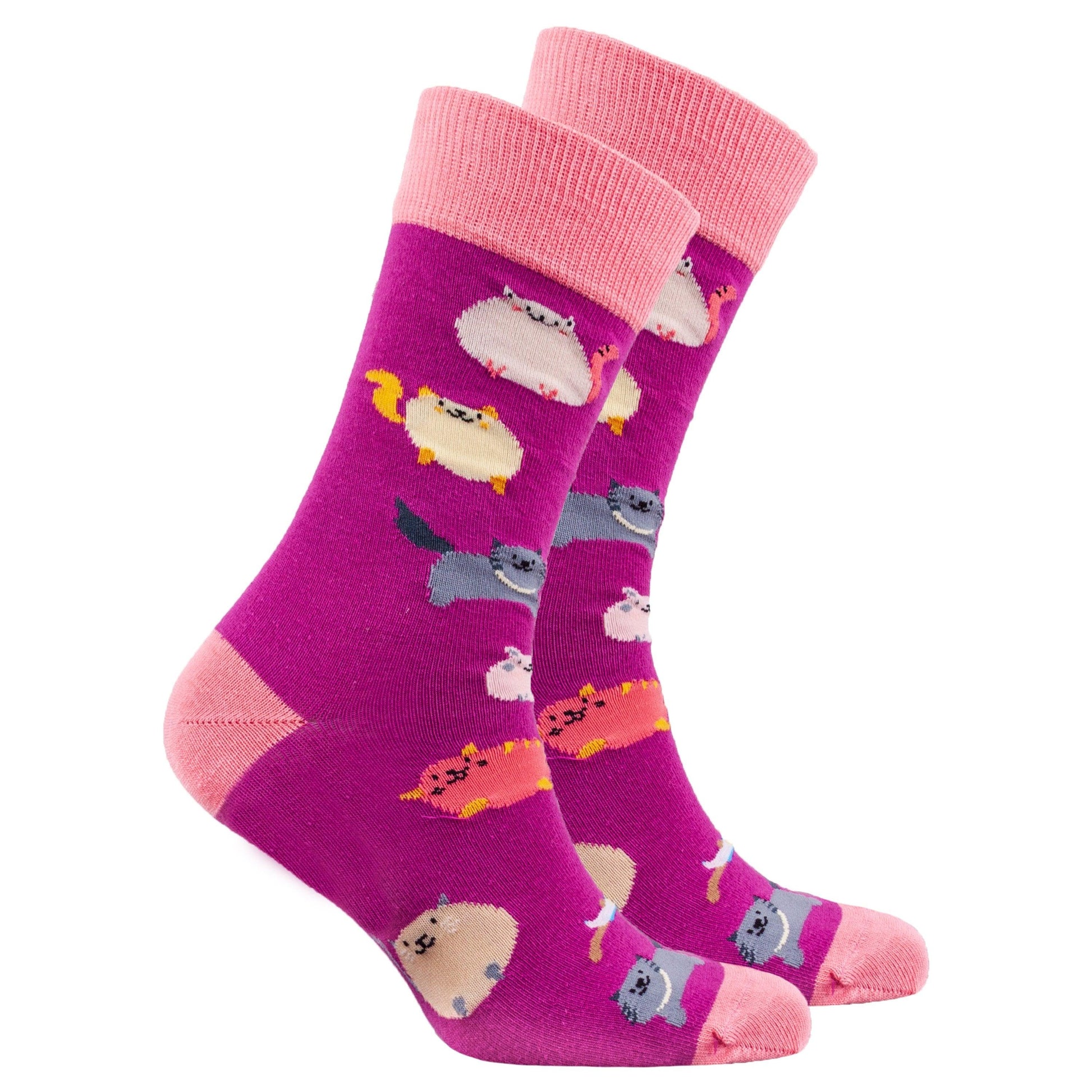 Men's Fatty Cats Socks