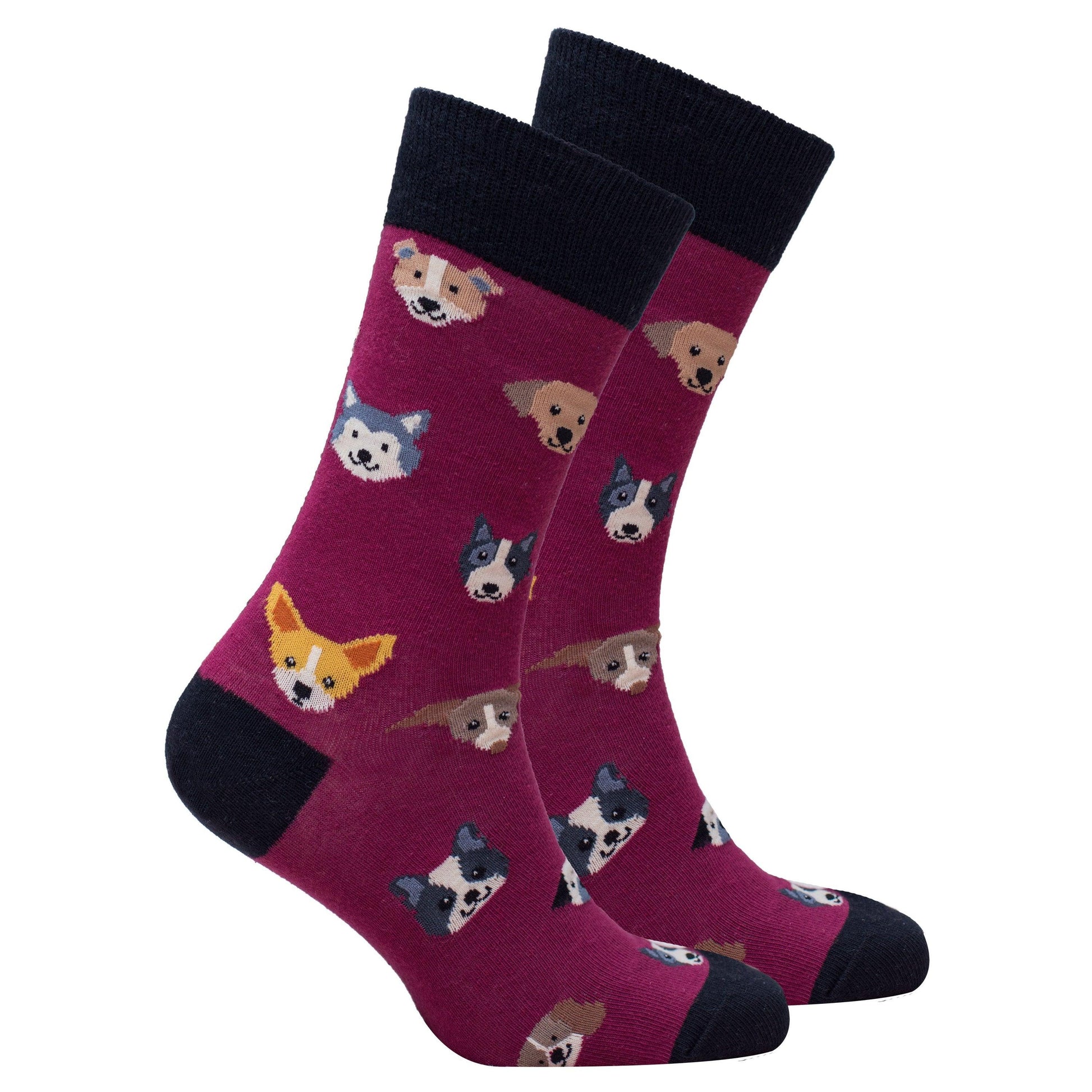 Men's Cute Dogs Socks