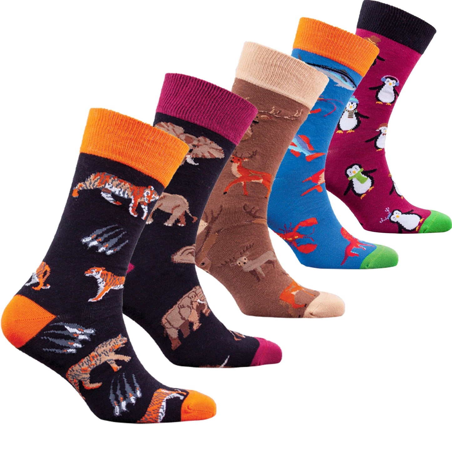 Men's Animal Planet Socks