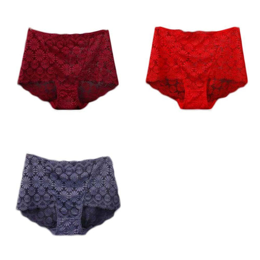 3 Pcs Lace Sexy Bikini Panties Daisy Mesh Underwear Plus Size Boyshorts Panties for Women Pack,Red Purplish Grey Wine Red - Clothes For Her Online Store