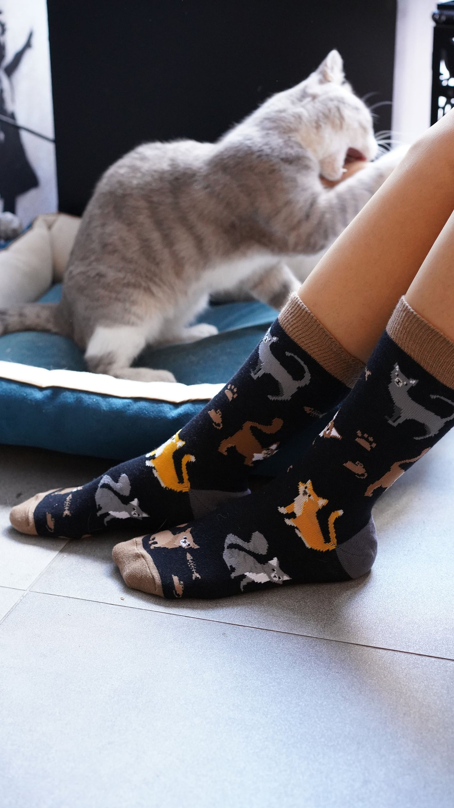 Women's Mrs. Kitty Socks