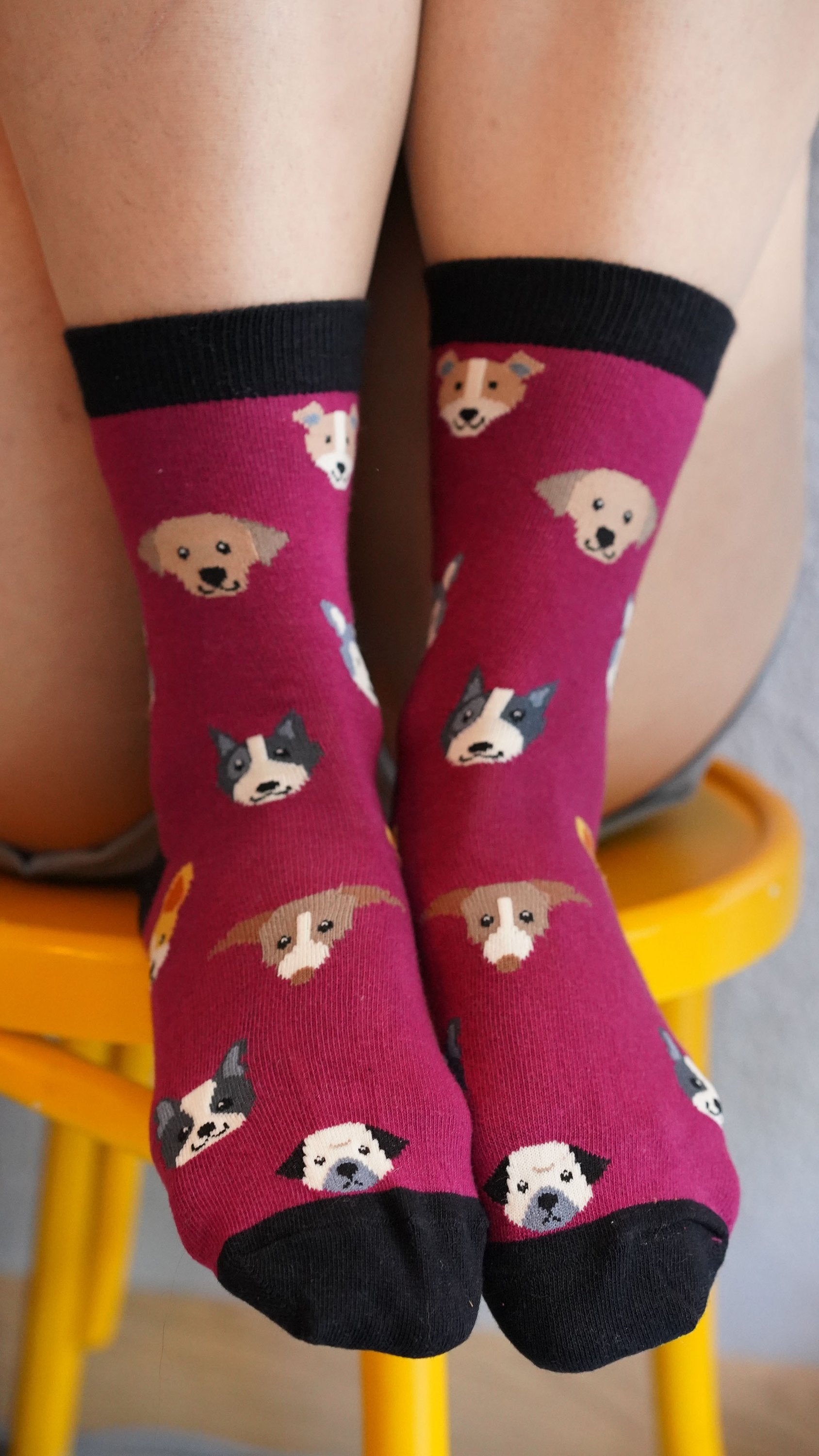 Women's Cute Dogs Socks