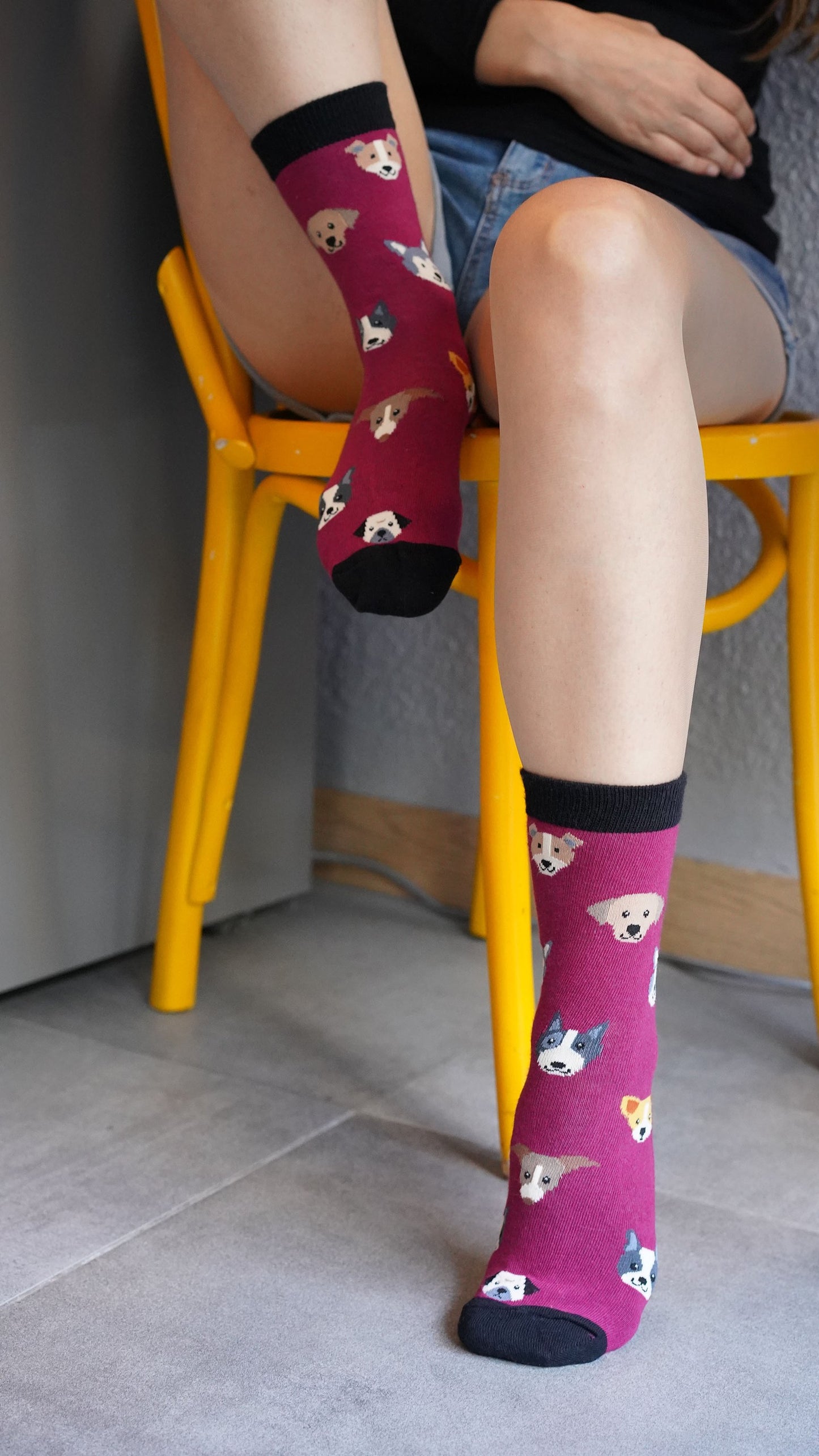 Women's Cute Dogs Socks