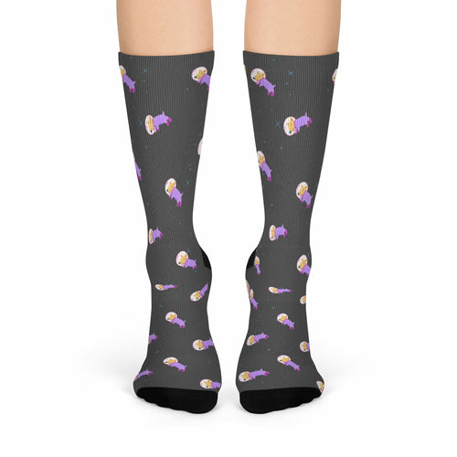 Astronaut Dog in Space Fun Socks