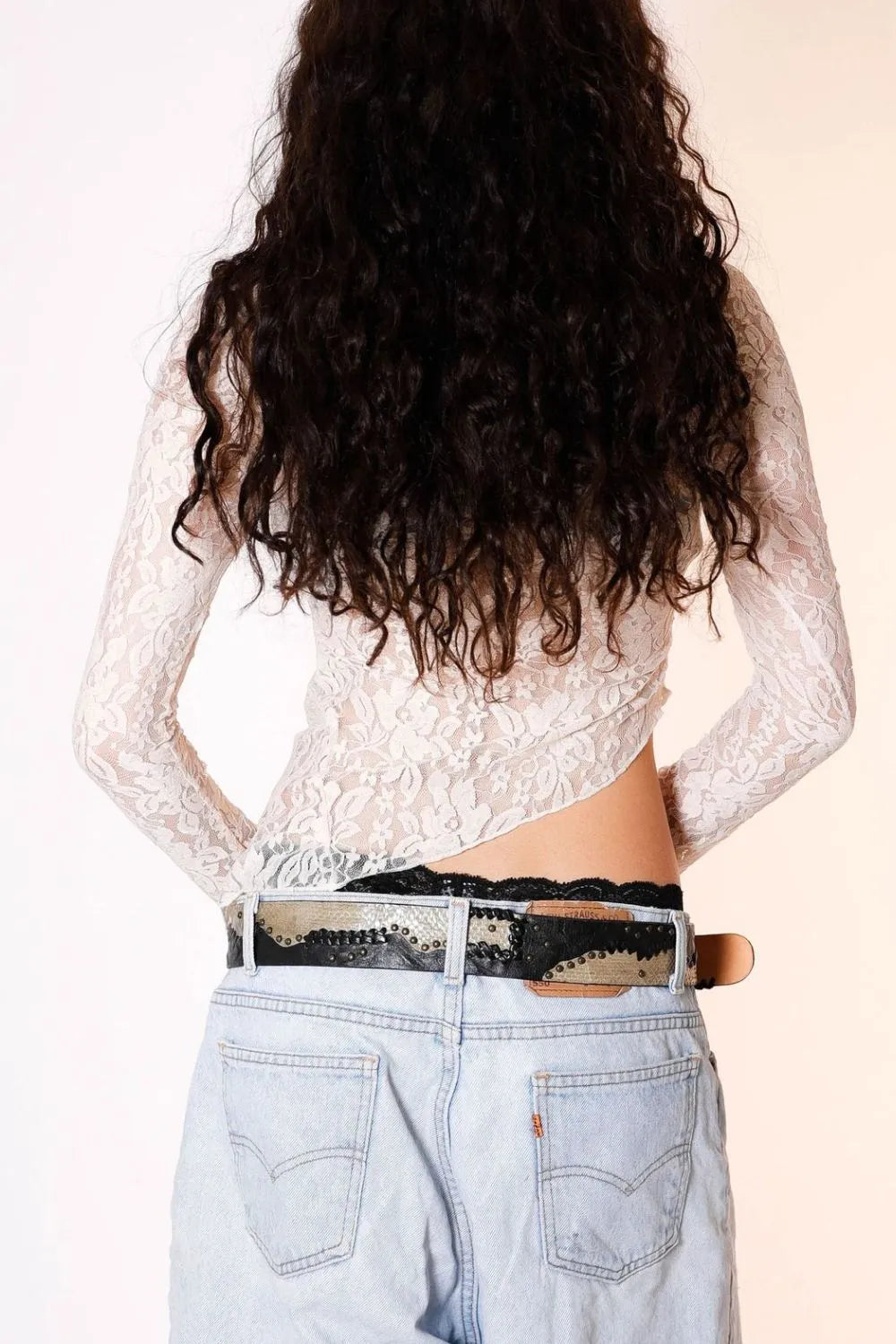 Lace Long Sleeve Sheer Crop Top