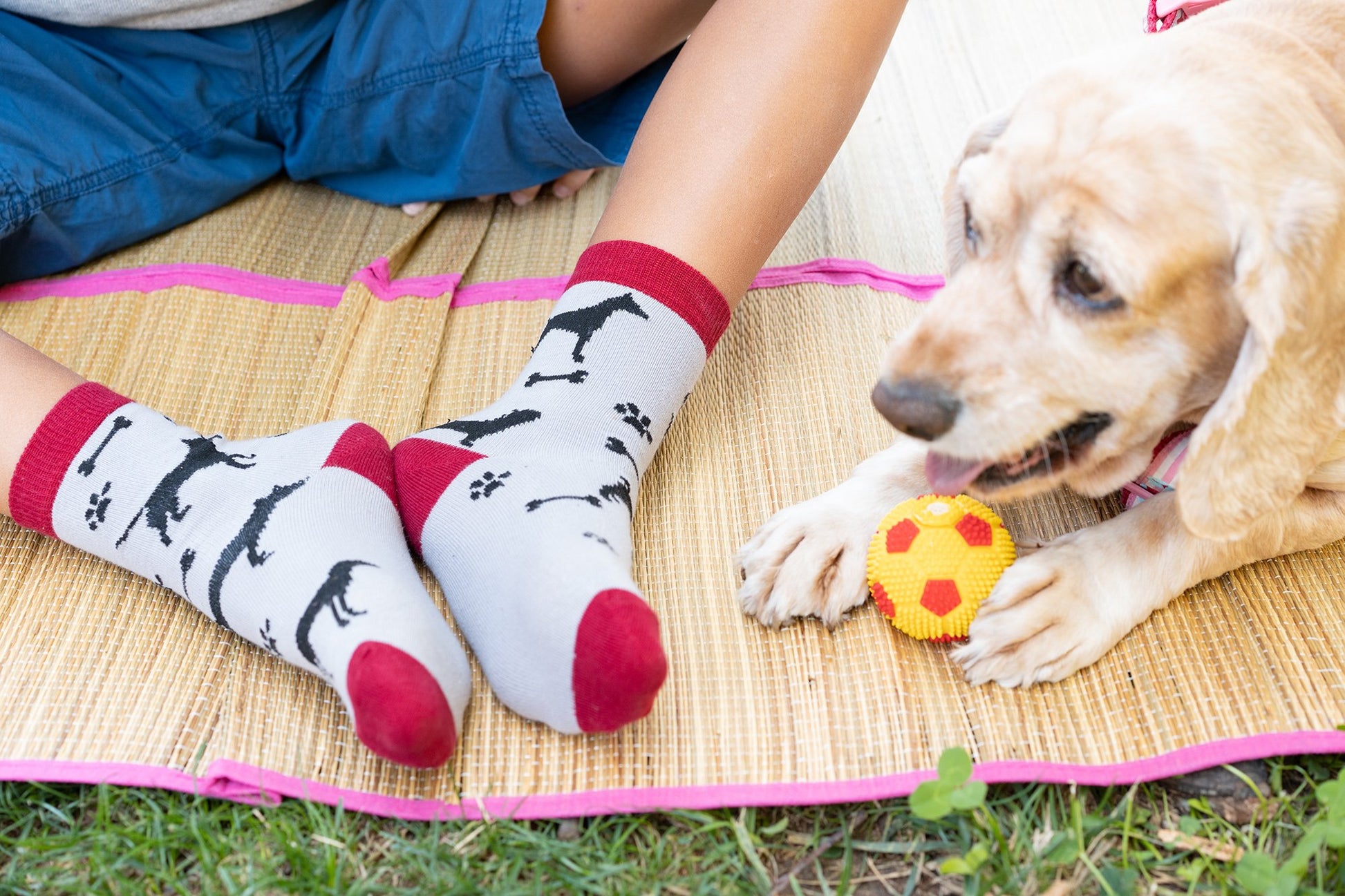 Kids Cute Dogs Socks