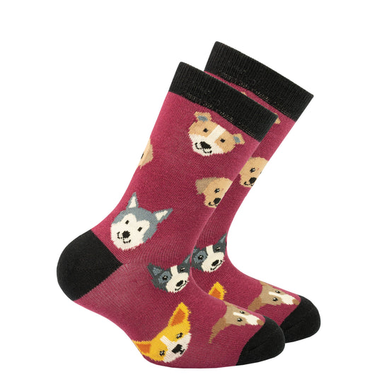 Kids Cute Dogs Socks