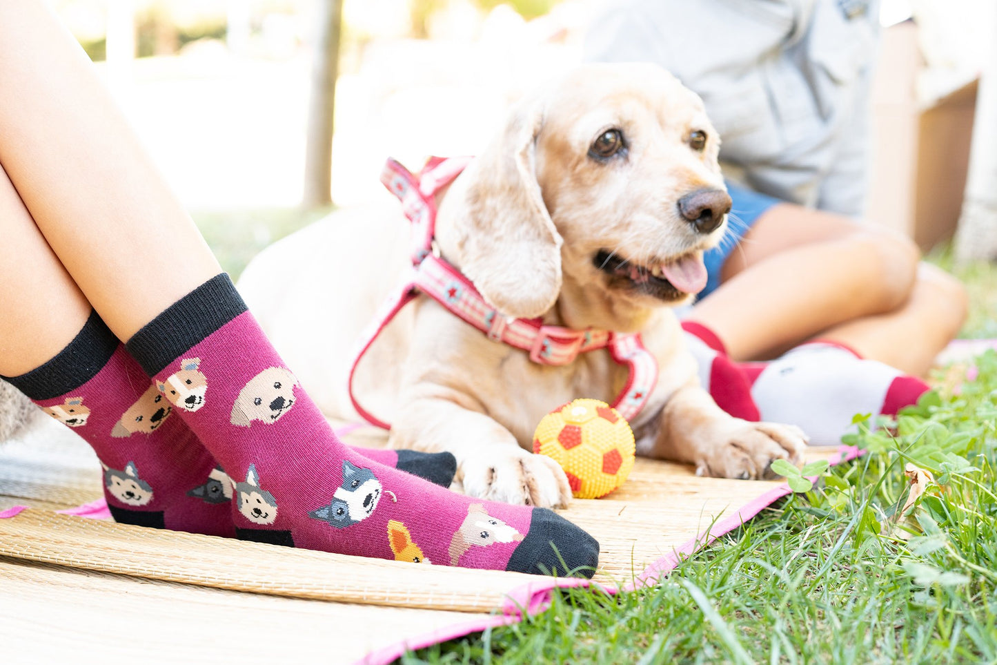 Kids Shadow Dog Socks