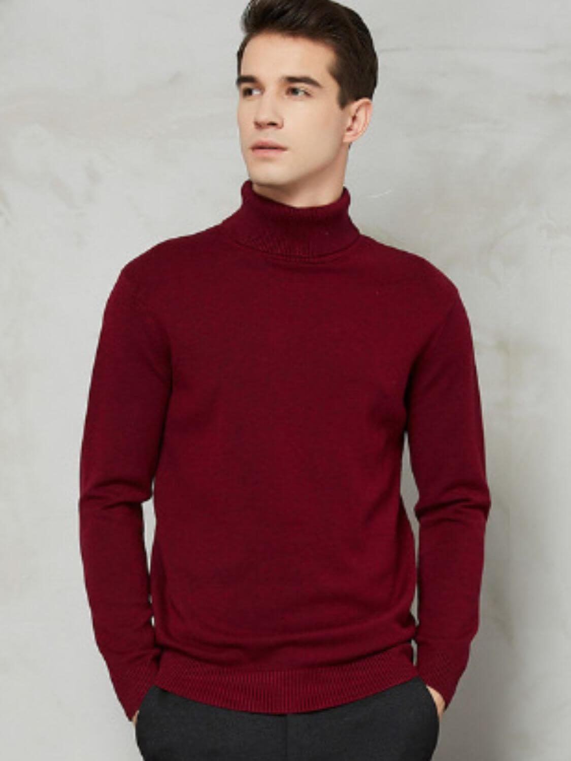 Men's Plus Size Turtleneck Long Sleeve Sweater