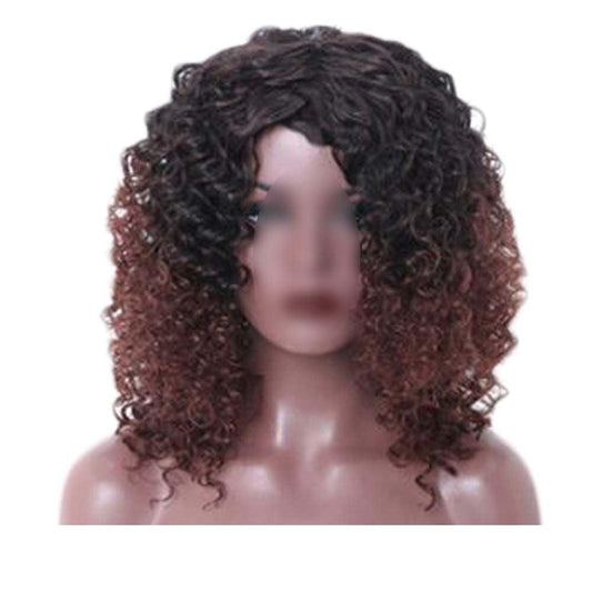 Black Brown Afro Hair Wig 2Tone Short Curly Fluffy Wigs with Bangs Synthetic Hair Full Wig,16 inch - Clothes For Her Online Store