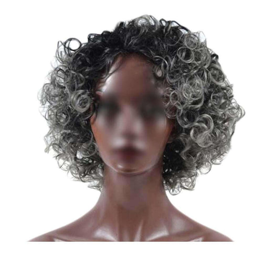 Black Grey Afro Short Curly Wigs Fluffy Wavy Synthetic Hair Wig 2Tone Natural Looking Full Wigs,12 inch - Clothes For Her Online Store