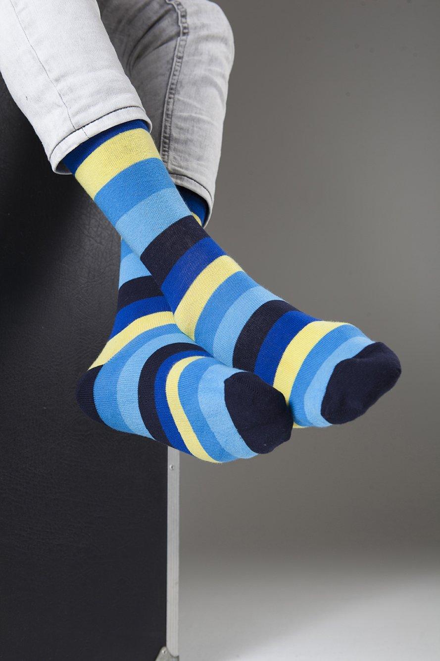 Men's Bluebird Stripe Socks