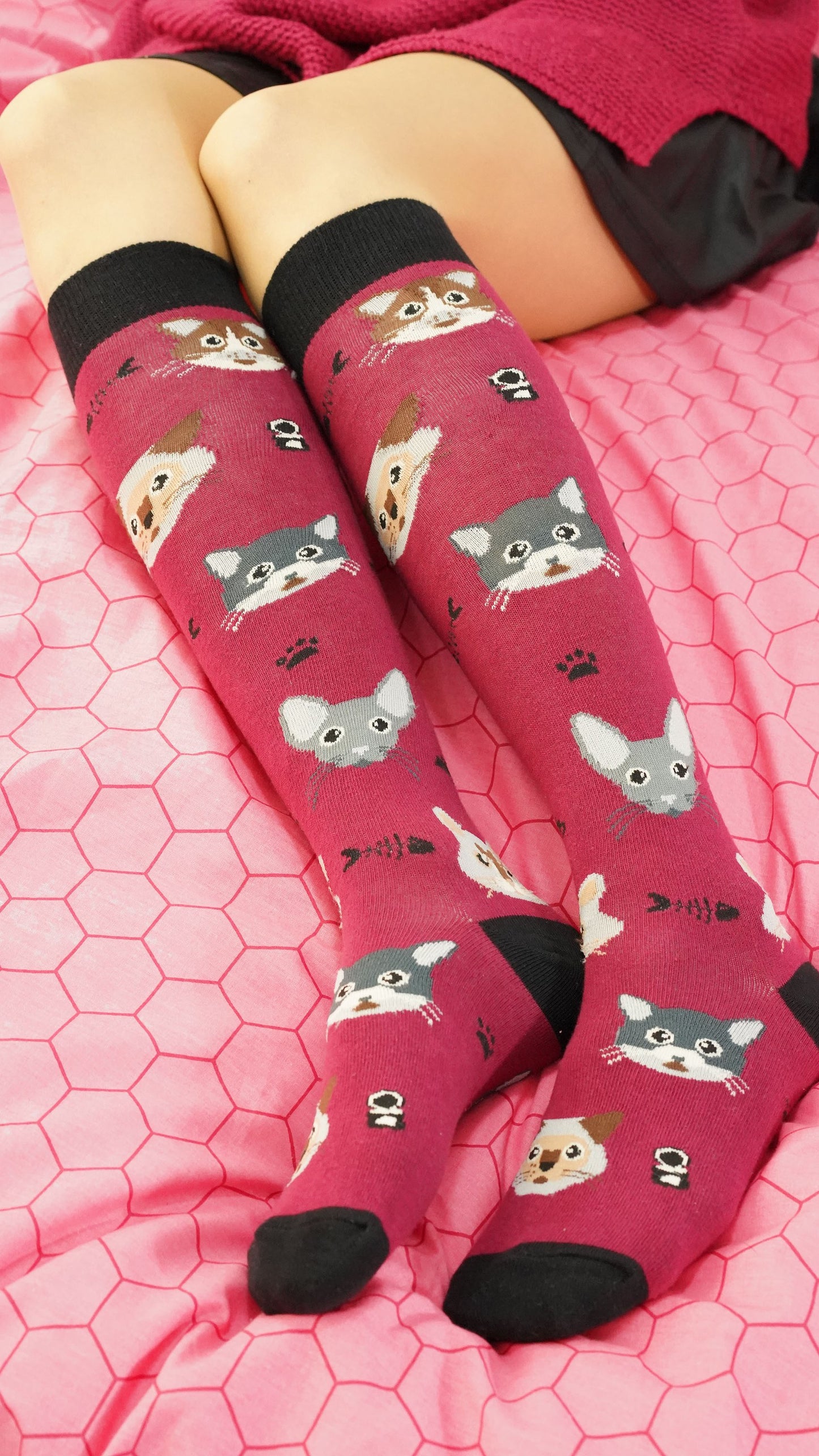 Women's Cute Cats Knee High Socks