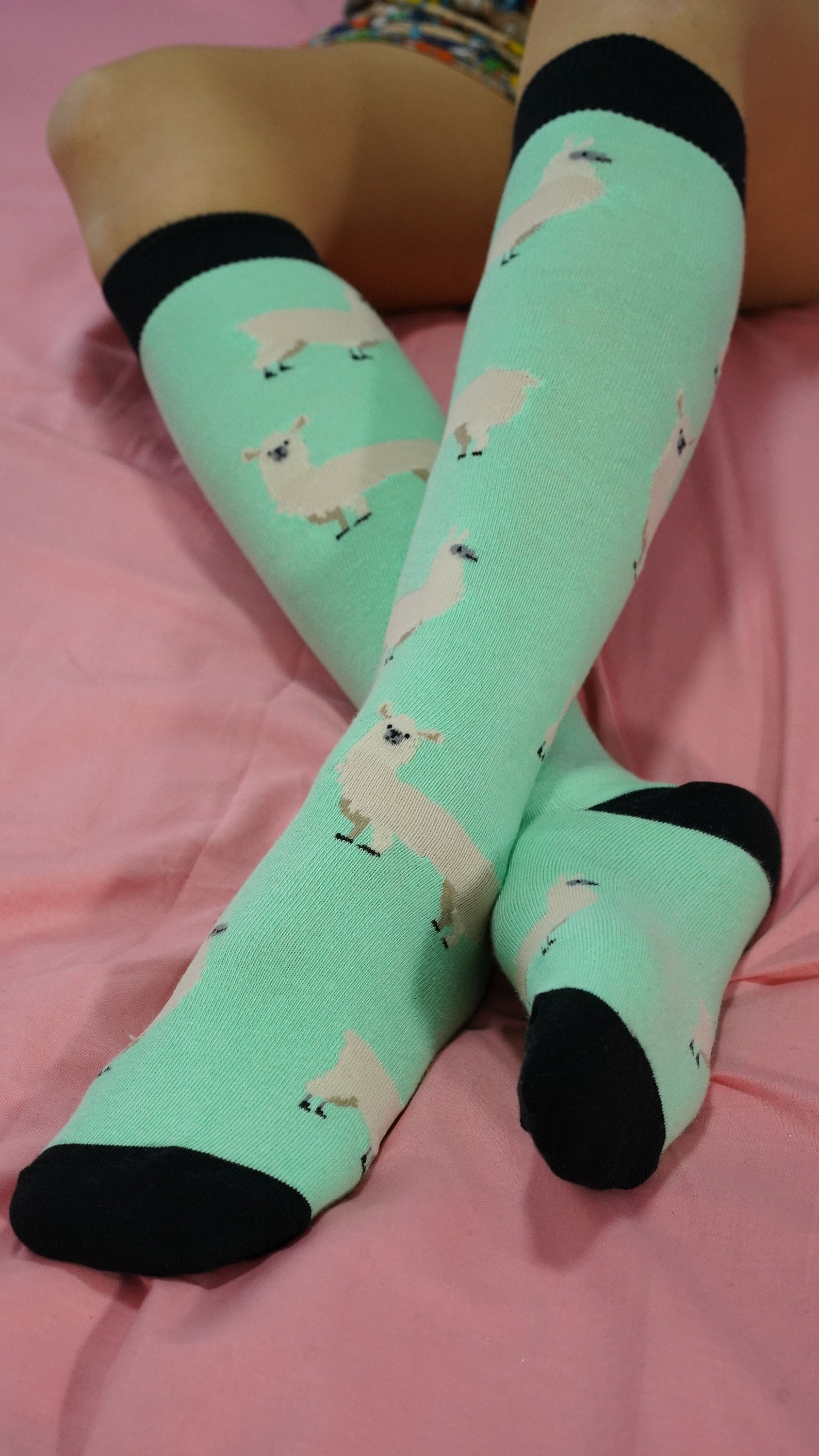 Women's Llama Knee High Socks