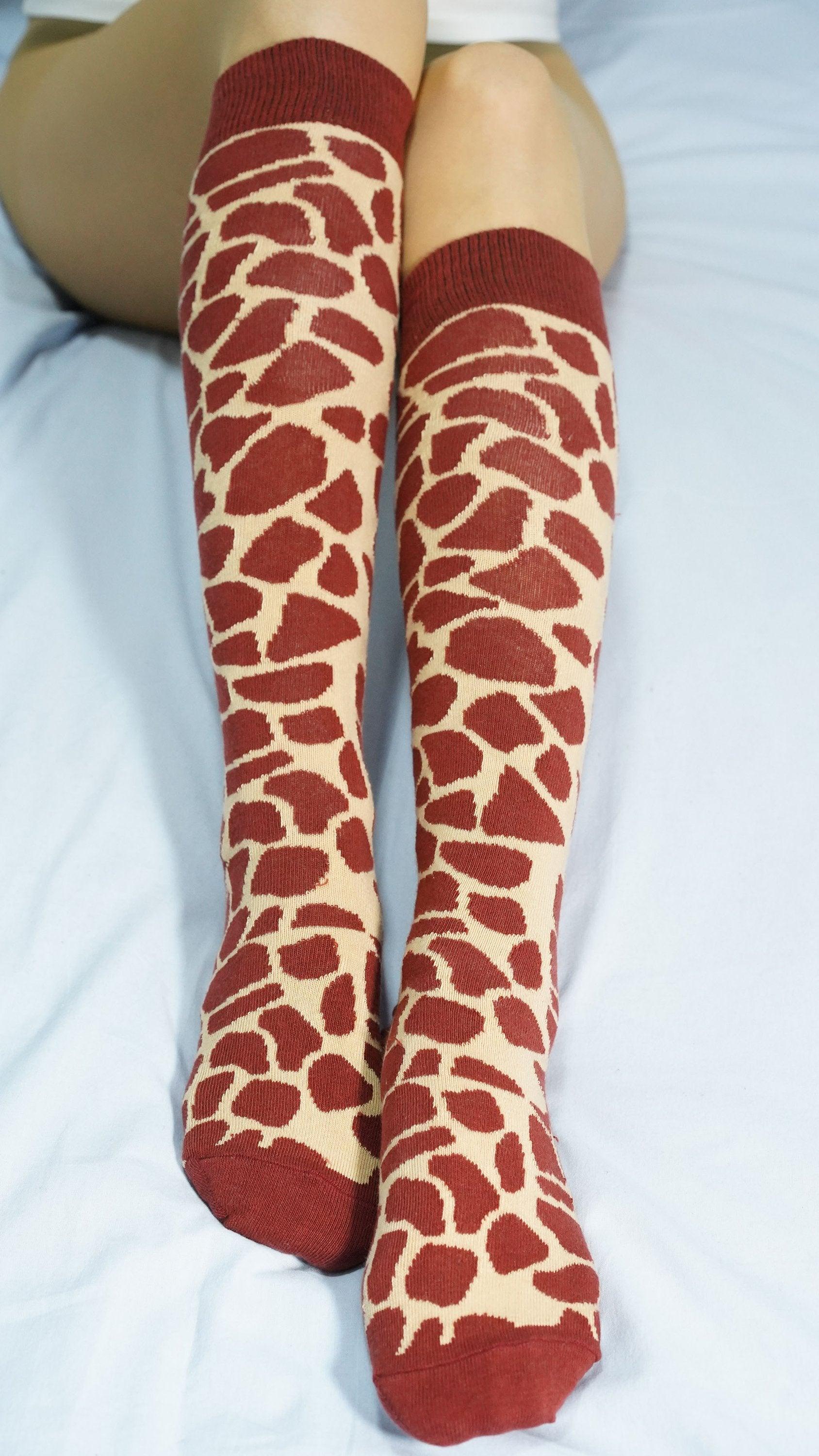 Women's Animal Kingdom Knee High Socks Set