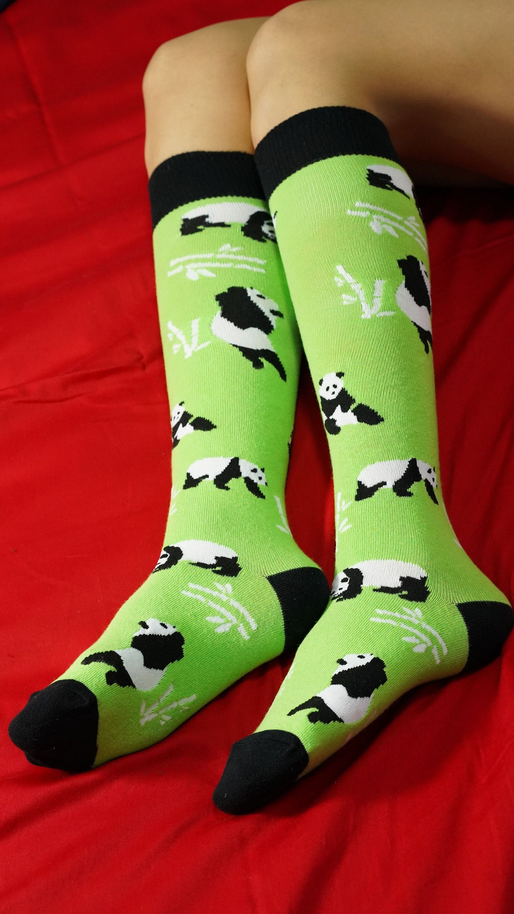 Women's Silly Panda Knee High Socks