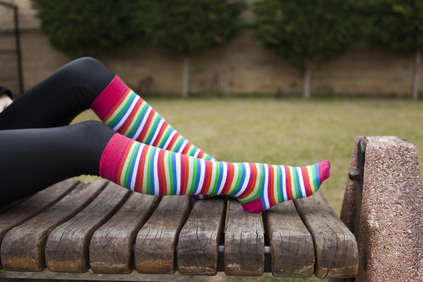 Women's Pink Blush Stripe Knee High Socks