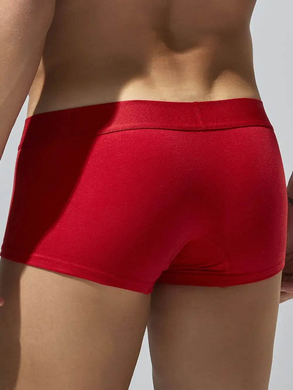 Men's Elastic Panty
