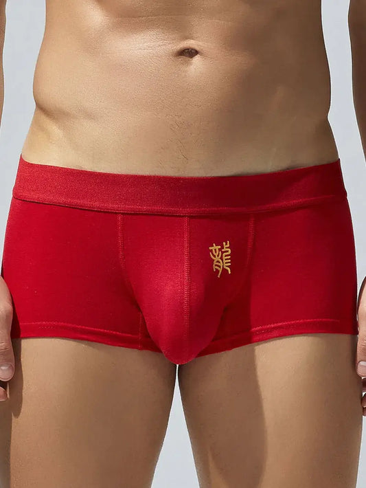 Men's Elastic Panty