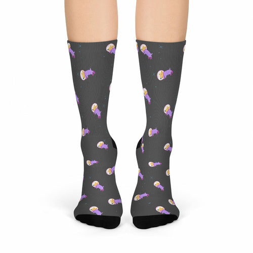 Astronaut Dog in Space Fun Socks