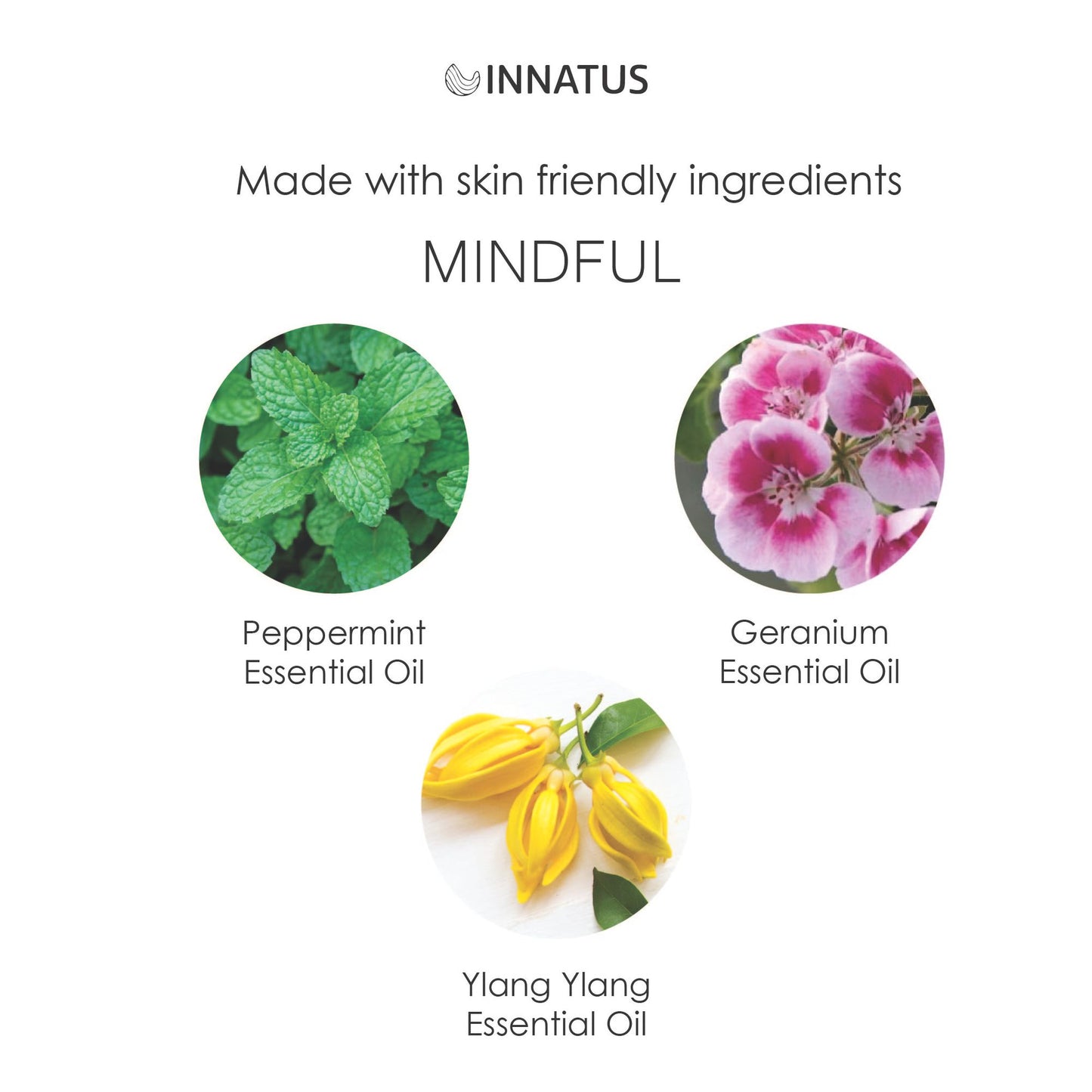 Essential Oil Aromatherapy Mindful Mist – 4oz Calming Spray for Home, Office, & Car – Natural, Alcohol-Free Essential Oil Blend for Relaxation & Focus "