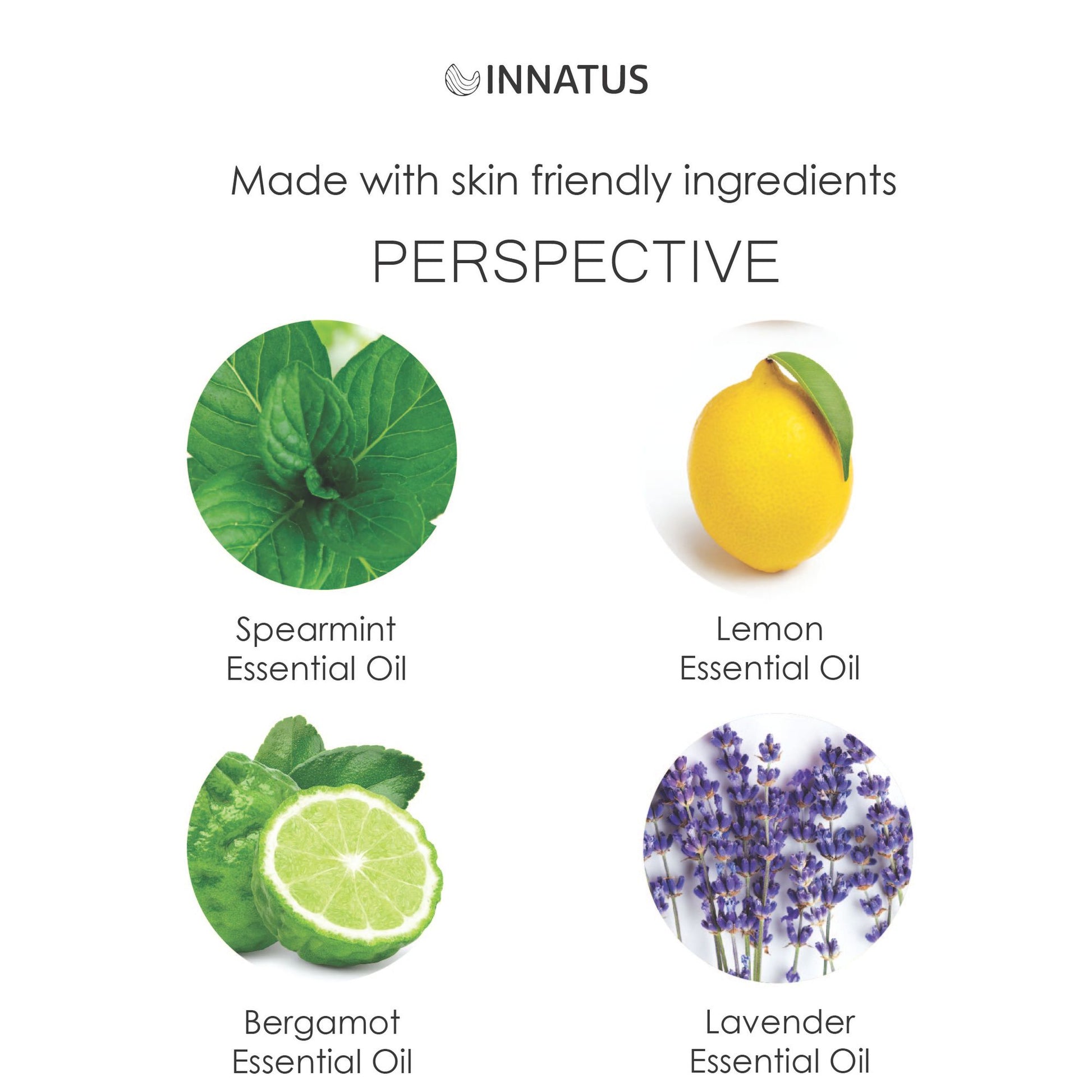 Essential Oil Aromatherapy Perceptive Mist – 4oz Clarity-Boosting Spray for Home, Office, & Car – Natural, Alcohol-Free Essential Oil Blend for Focus & Refreshment "