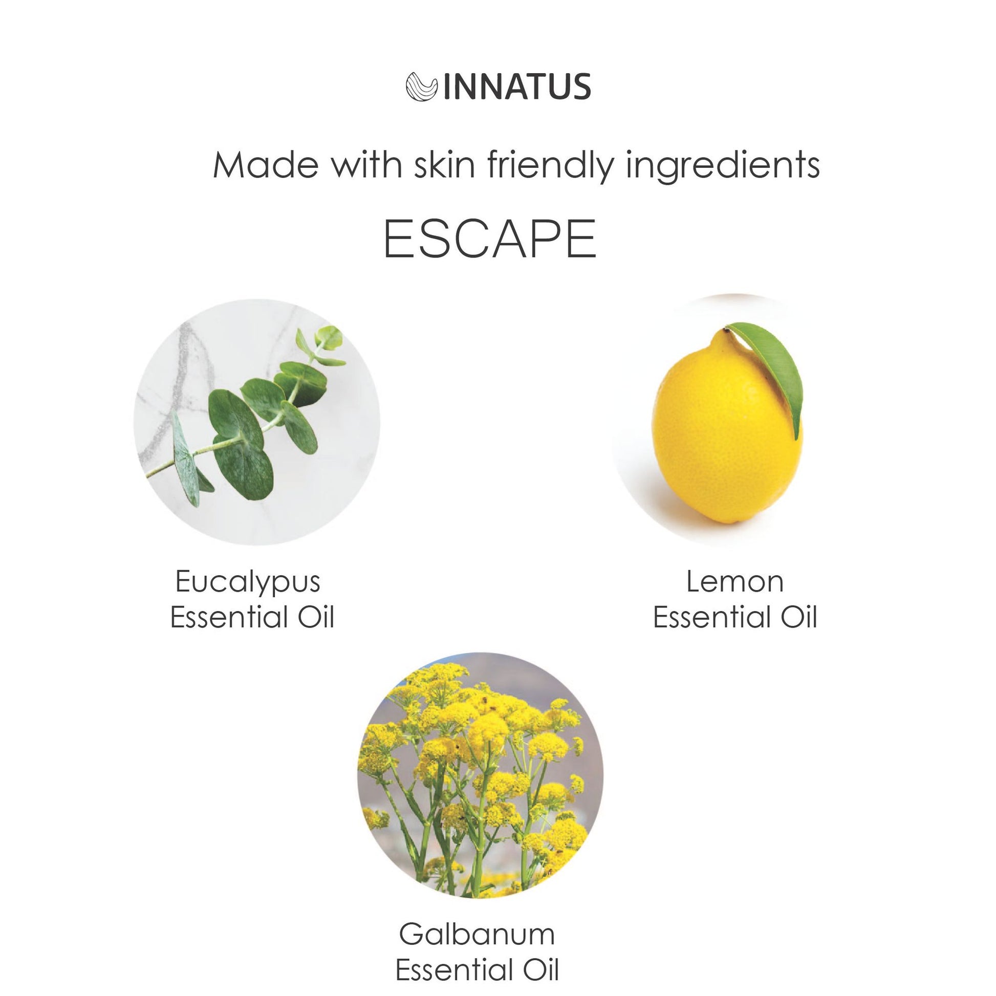 Escape Shower Spray with Eucalyptus & Lemon – 4oz Aromatherapy Shower Steamer Mist for Relaxation & Stress Relief – Infused with Galbanum for a Spa-Like Experience – Made in the USA "