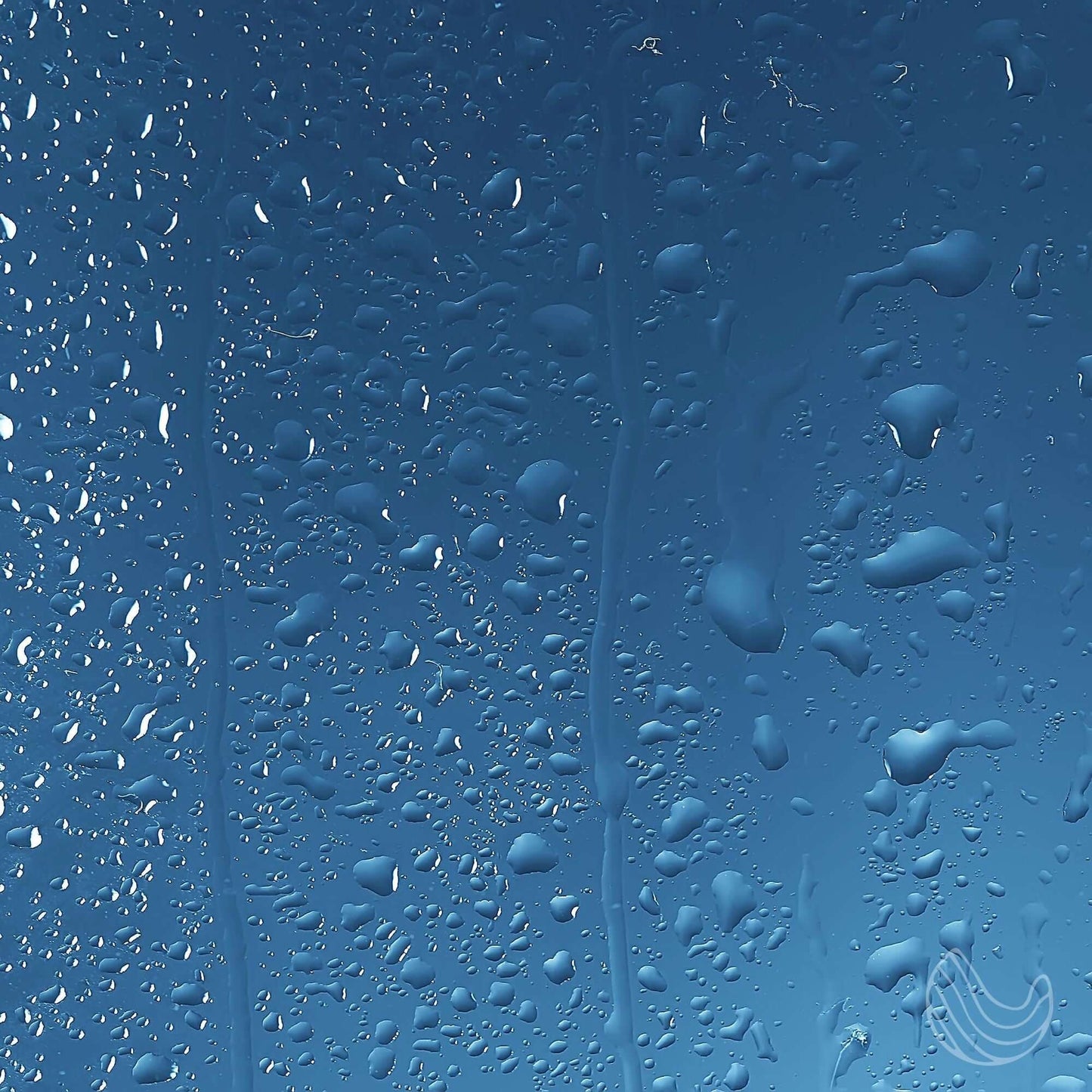 Calming Shower Spray with Eucalyptus & Grapefruit – 4oz Aromatherapy Shower Steamer Mist for Relaxation & Stress Relief – Infused with Bergamot for a Spa-Like Experience – Made in the USA "