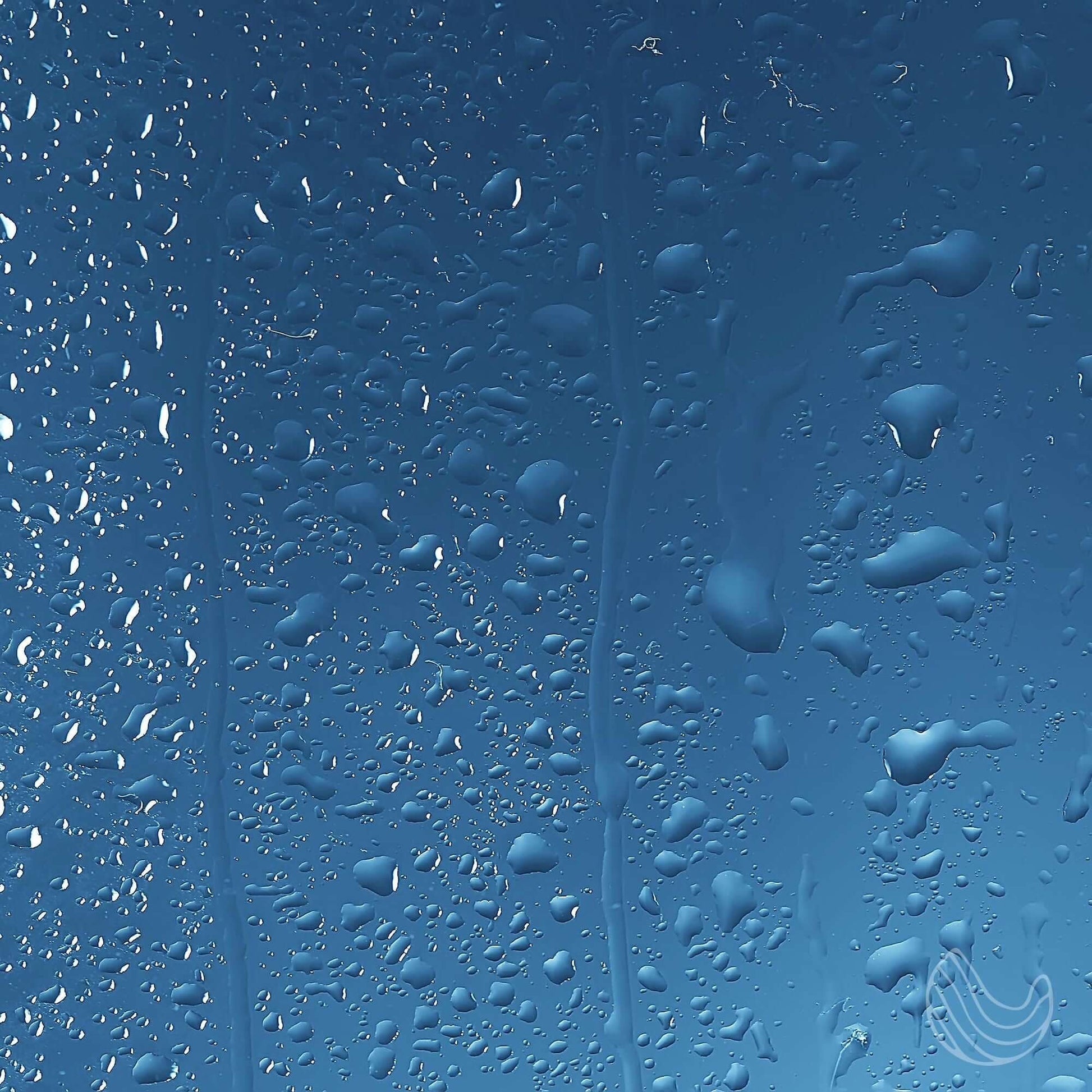 Calming Shower Spray with Eucalyptus & Grapefruit – 4oz Aromatherapy Shower Steamer Mist for Relaxation & Stress Relief – Infused with Bergamot for a Spa-Like Experience – Made in the USA "