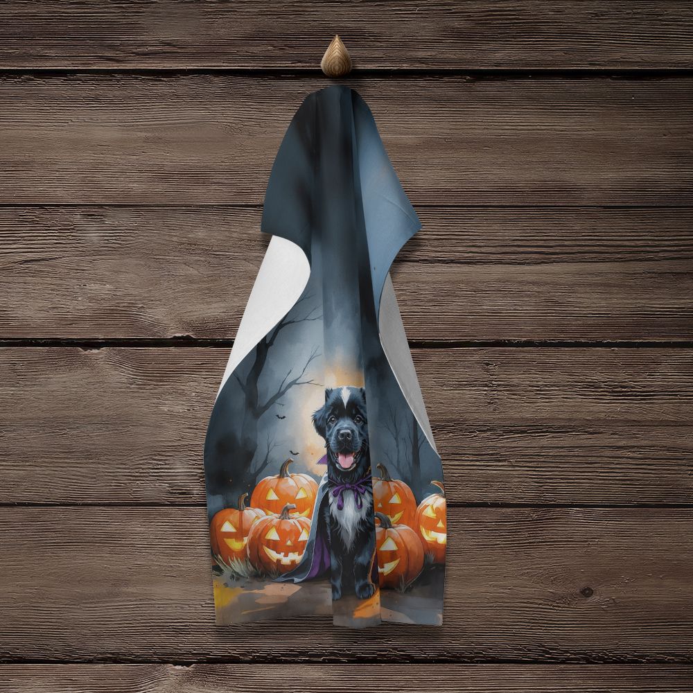 Newfoundland Puppy Halloween Kitchen Towel Dish Cloths Guest Hand Towel Decorative Bathroom Towel for Face,Tea, Dishcloth, Kitchen and Bath