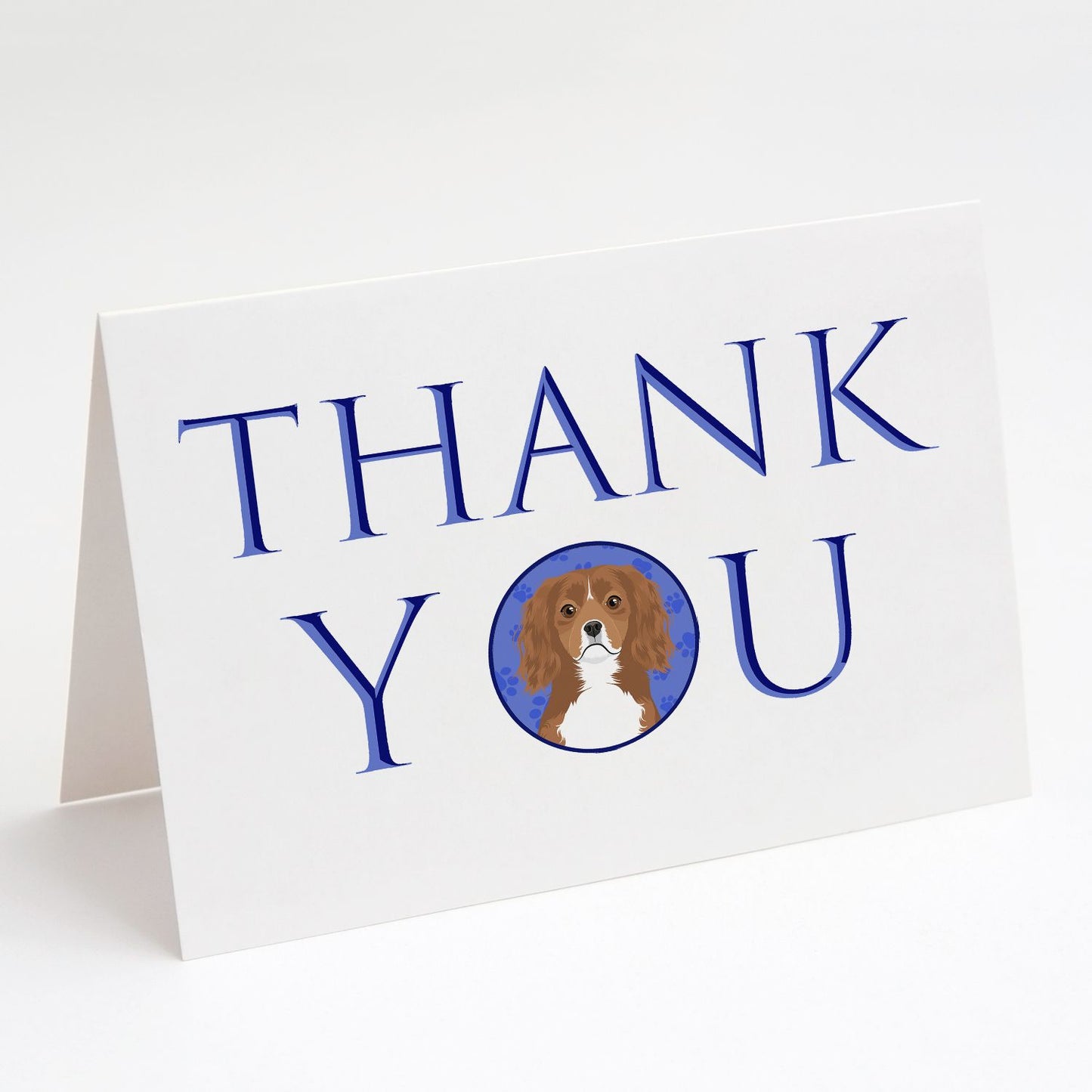Cavalier King Charles Spaniel Ruby Thank You Greeting Cards Pack of 8 Blank Cards with Envelopes Whimsical A7 Size 5x7 Blank Note Cards