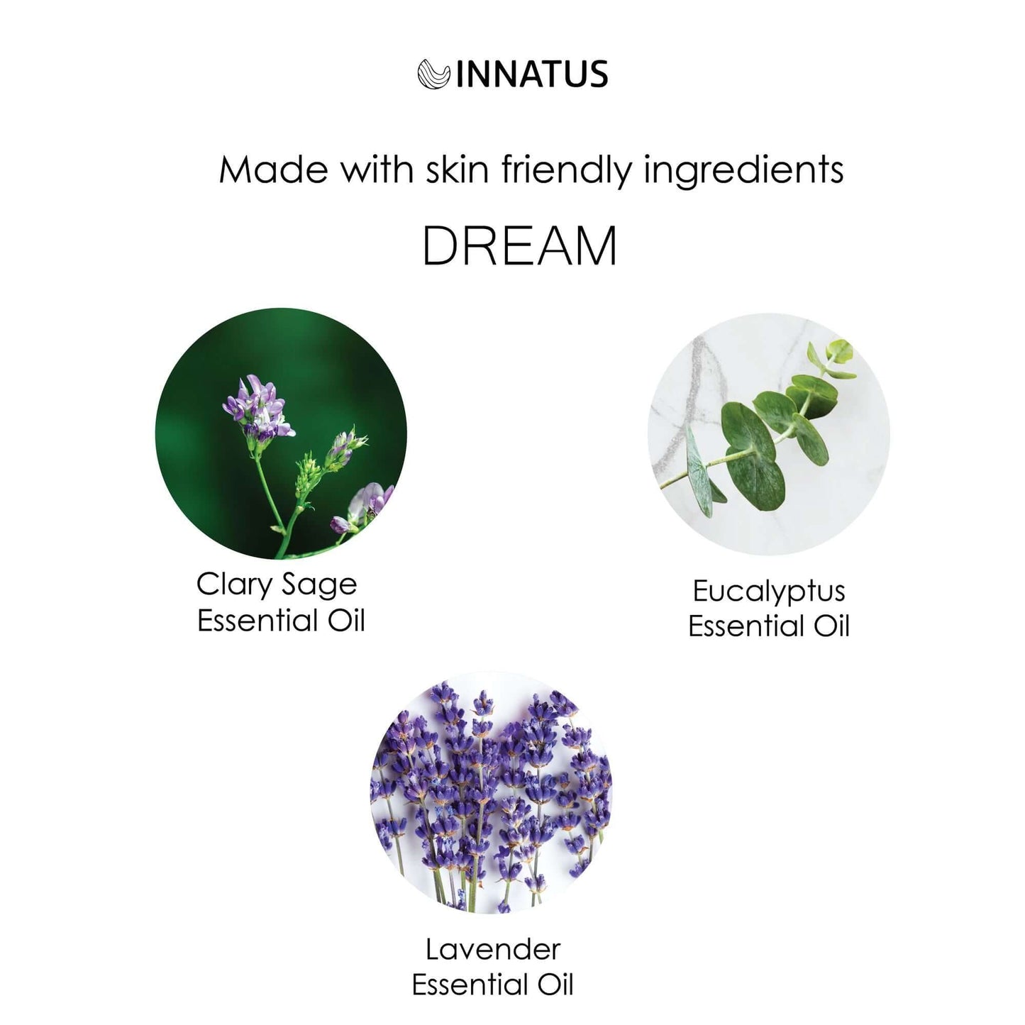 Dream Essential Oil Blend – 1oz Pure Eucalyptus & Lavender Essential Oil for Diffusers, Baths, & Massage – Calming & Stress-Relieving Aromatherapy for Relaxation & Respiratory Health "