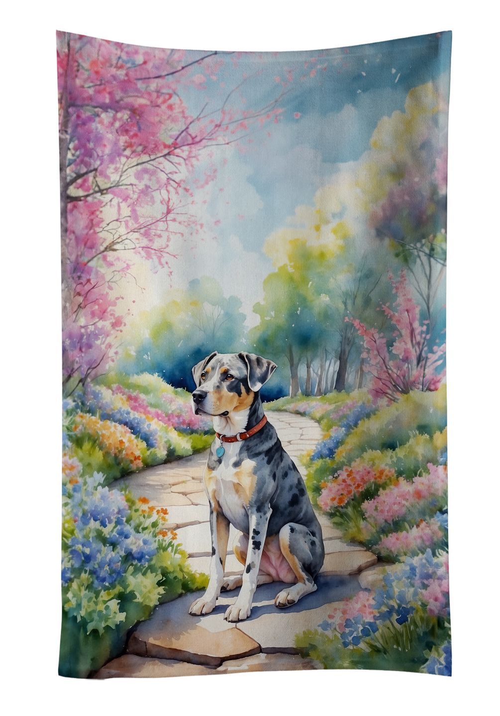 Catahoula Spring Path Kitchen Towel Dish Cloths Guest Hand Towel Decorative Bathroom Towel for Face,Tea, Dishcloth, Kitchen and Bath