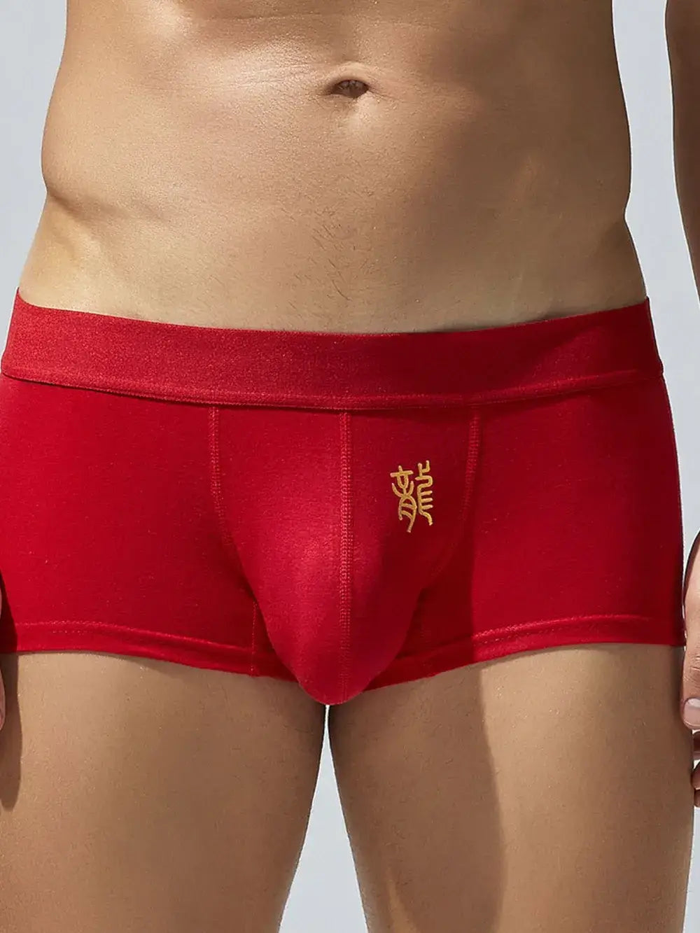 Men's Elastic Panty